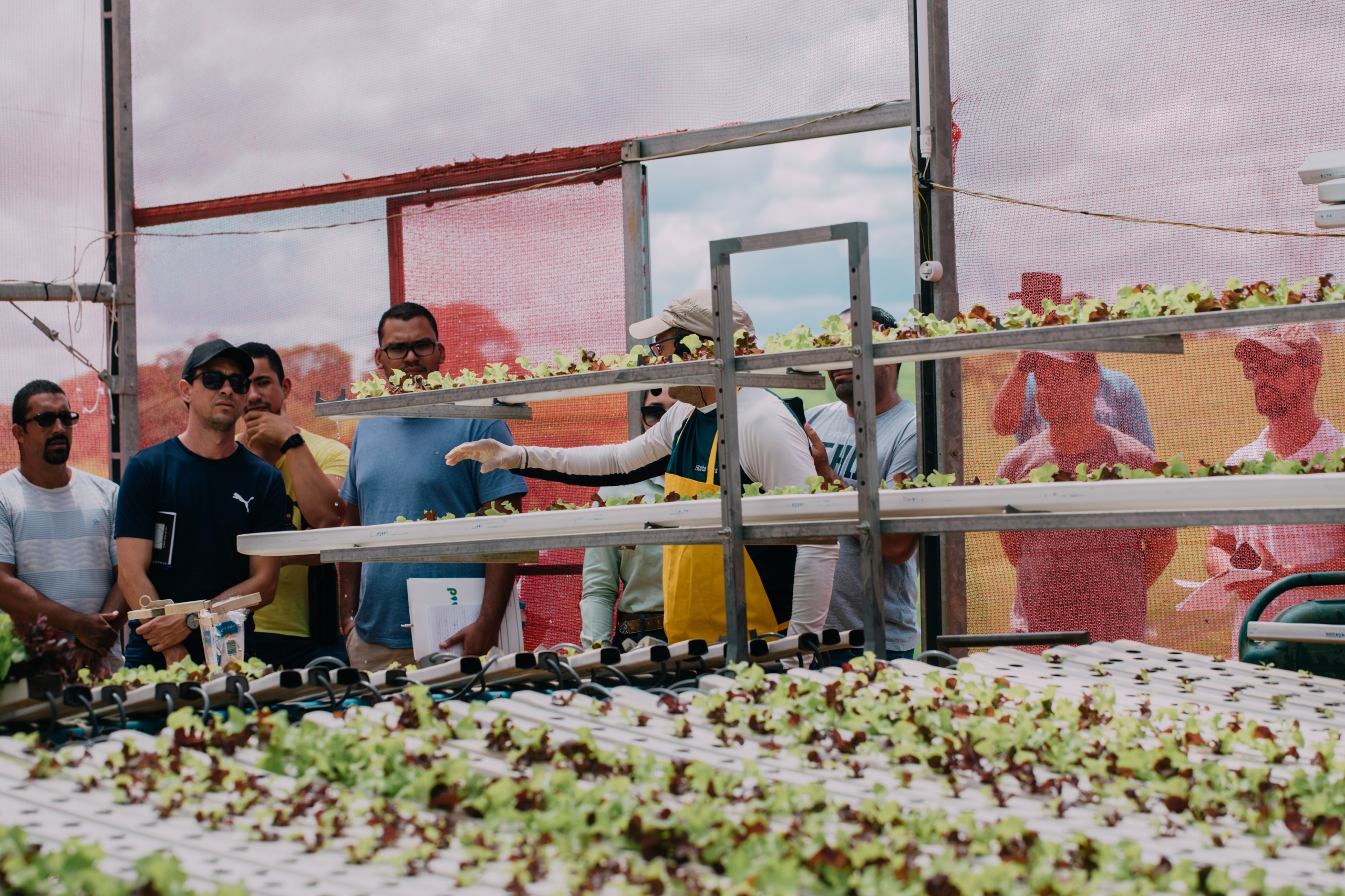 hg academy curso de hidroponia hidrogood