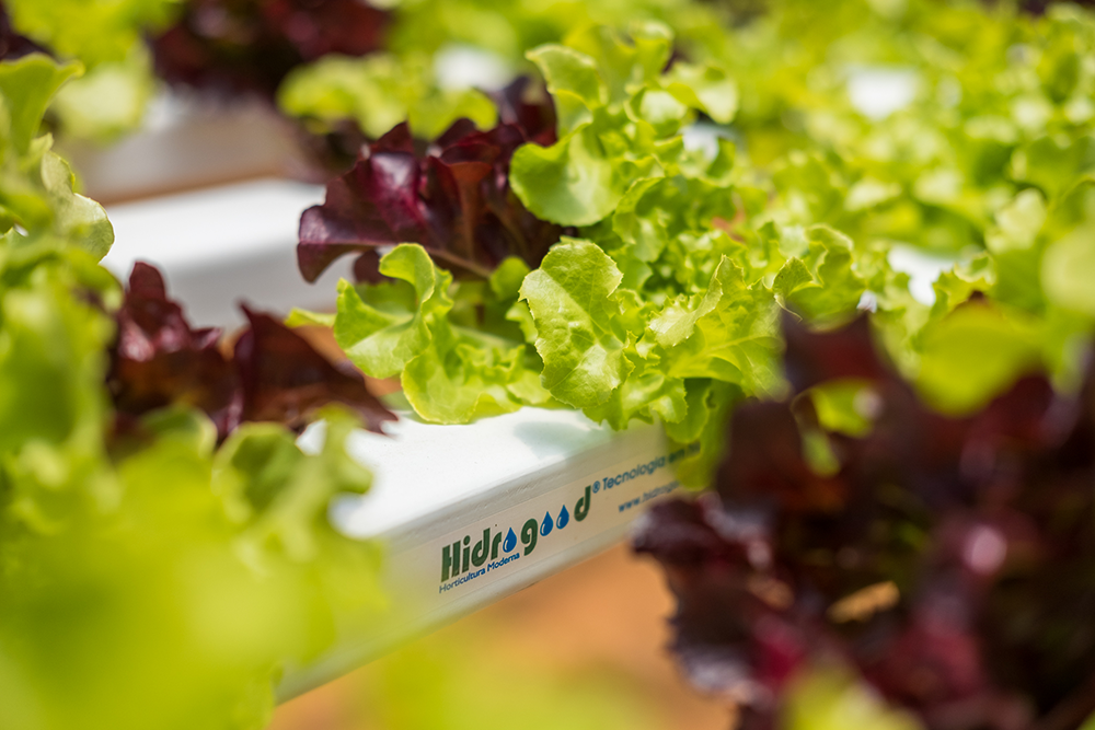 perfil hidropônico hidrogood
