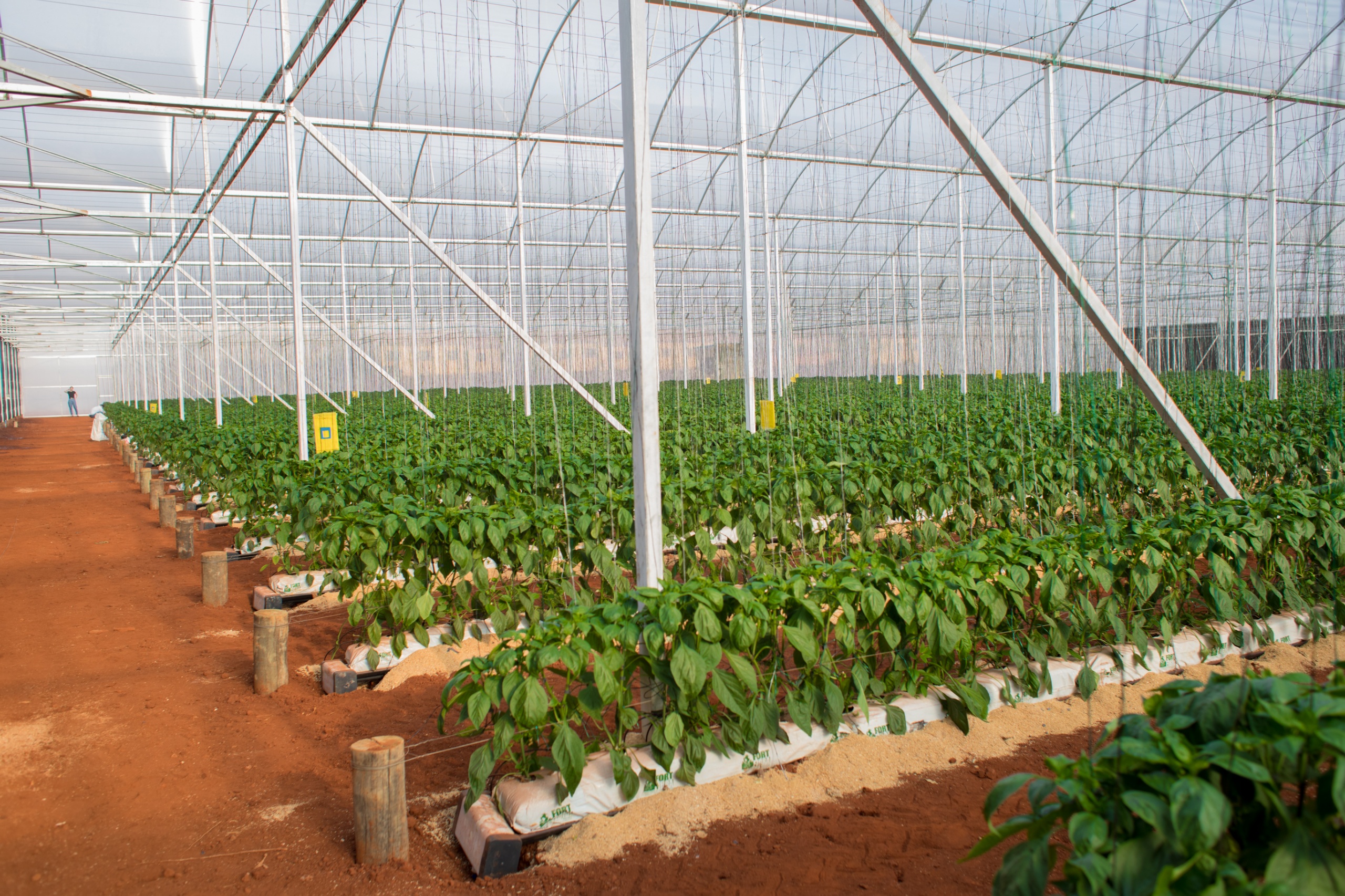 Calha Slab Hidrogood