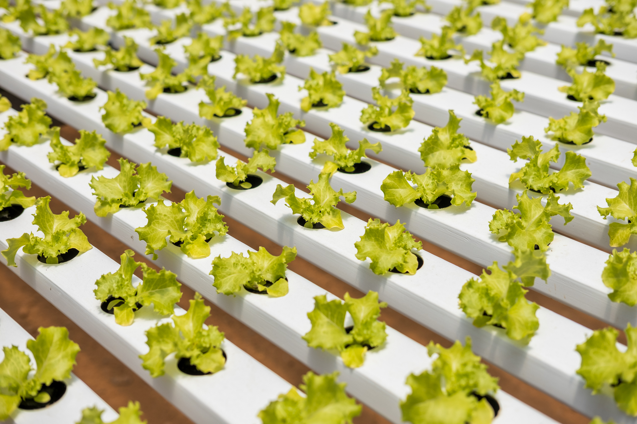 hidrogood news 21 condutividade eletrica