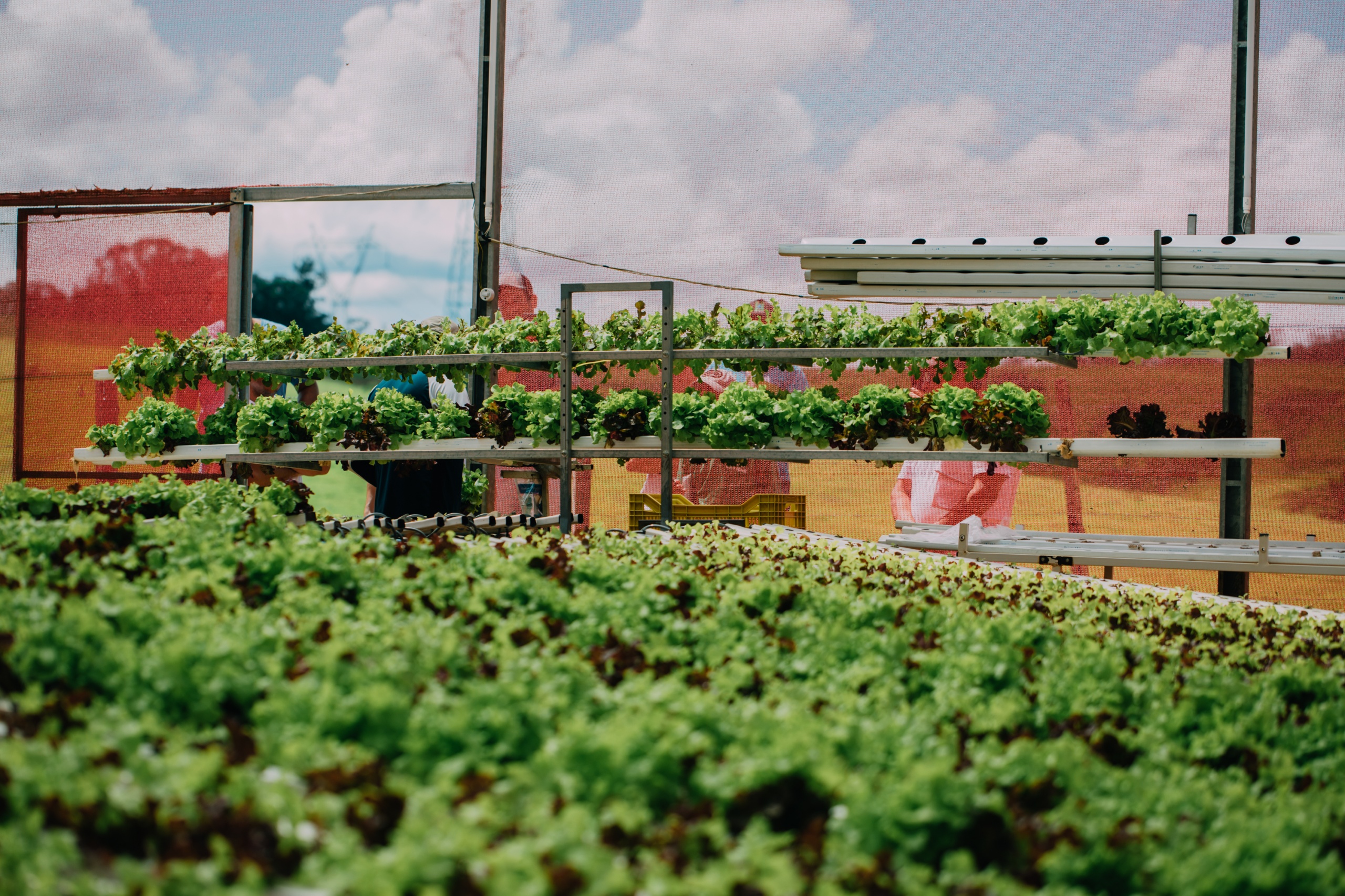 hidrogood planejamento financeiro agronegocio