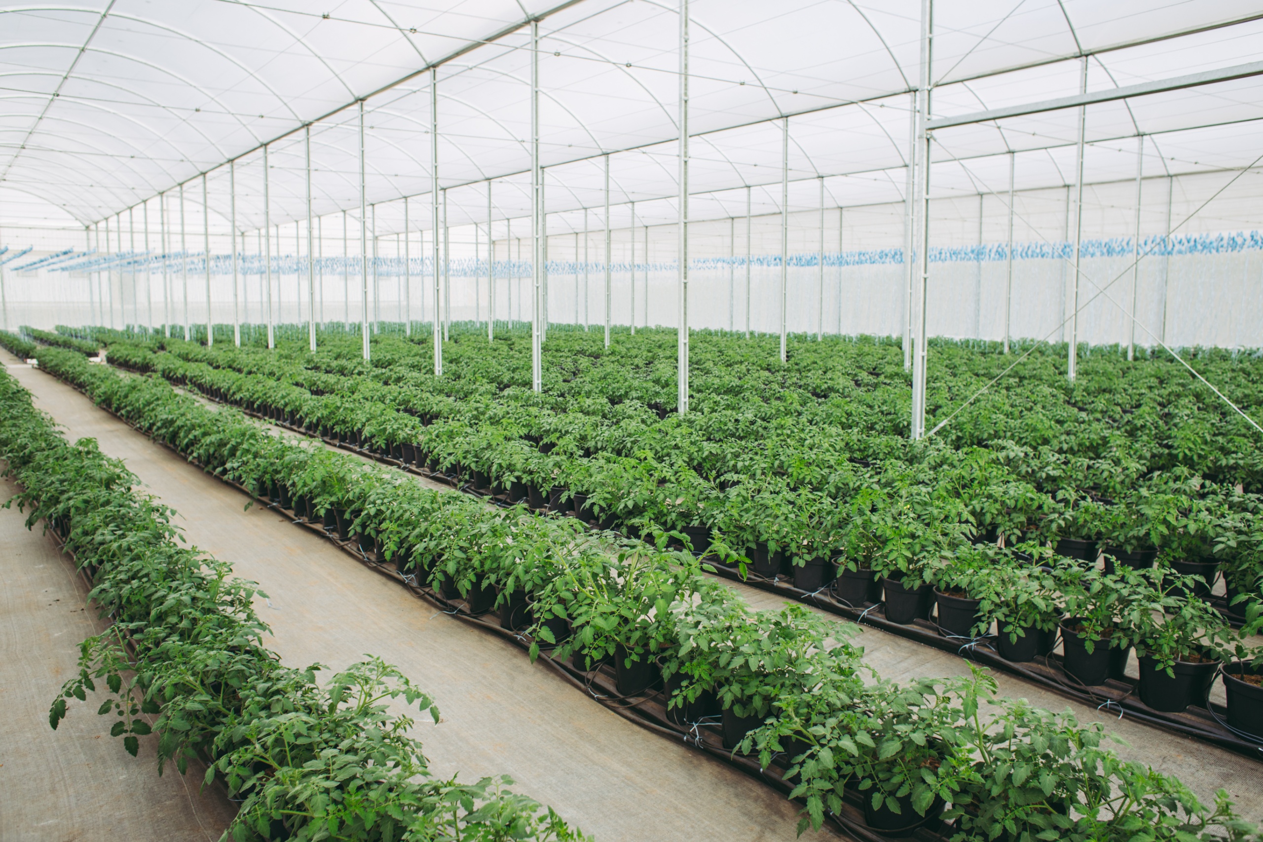 crise hídrica calha vaso hidrogood