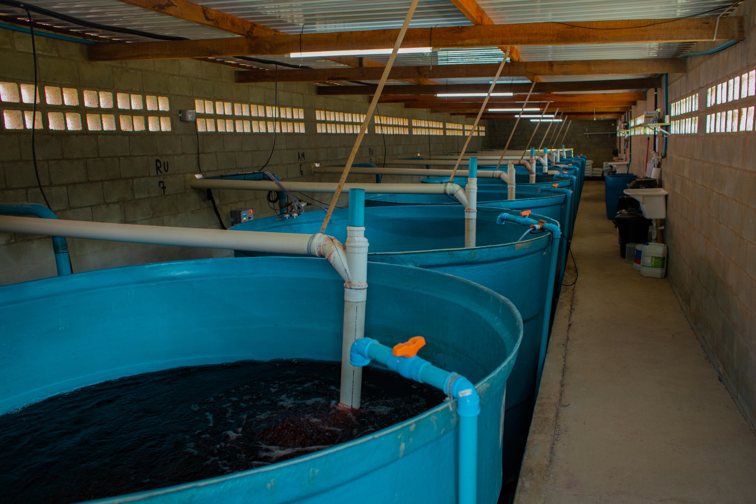 caixa-solucao-nutritiva