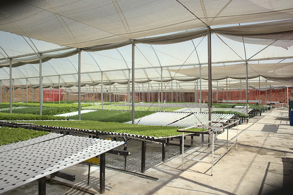 telas de sombreamento hidrogood